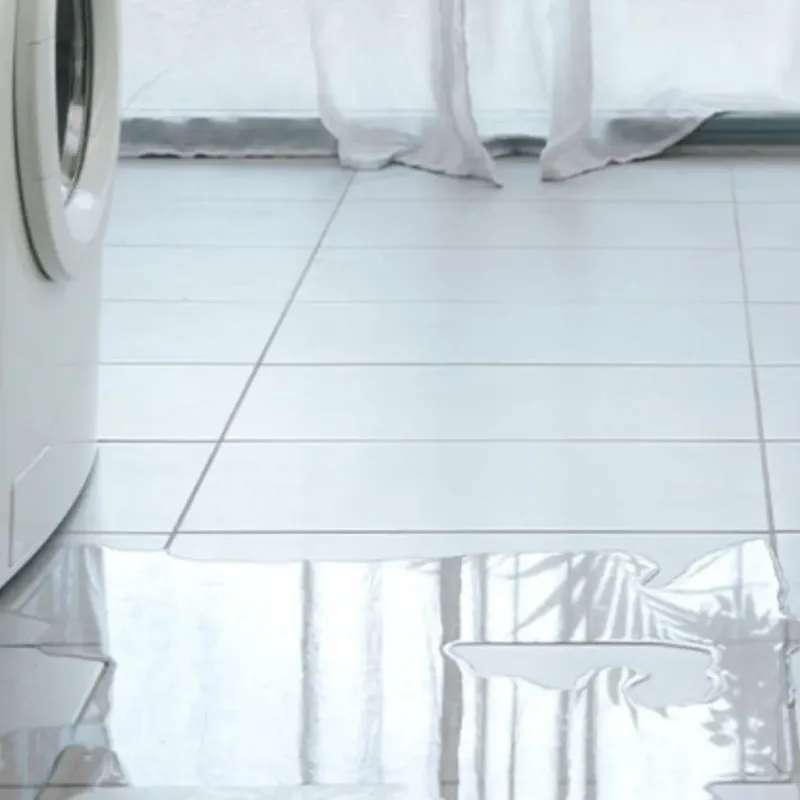 Appliance Leak Cleanup in Cheswold, DE