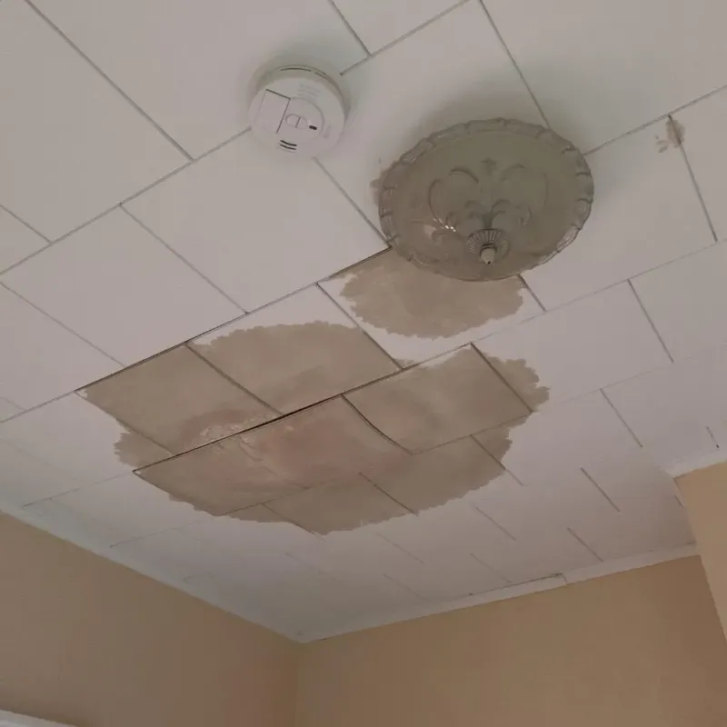 Ceiling Water Damage Repair in Cheswold, DE